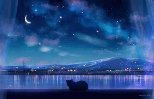 cat-sky.gif.b5940a8f9d80337e3151a45092f074bb.gif
